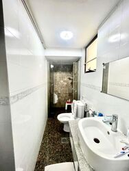 Birchwood Mansions (D12), Apartment #536115731
